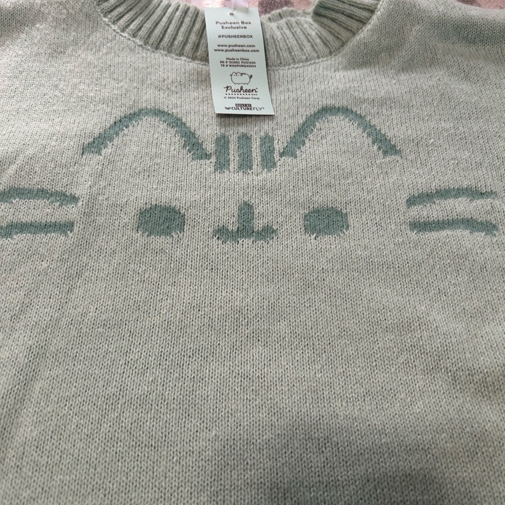 Pusheen Women's Mint Green Pusheen Oversized Sweater NWT 3XL - Picture 3 of 6